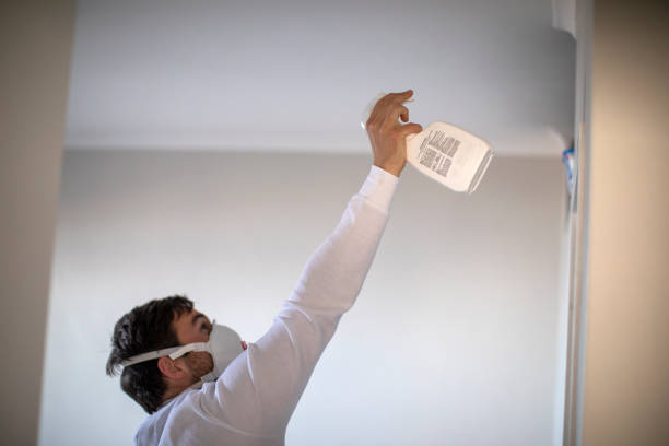 Best Toxic Mold Removal  in Jamaica Beach, TX