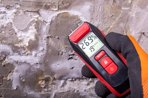 Best Emergency Mold Removal  in Jamaica Beach, TX