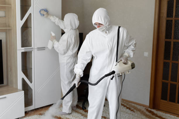 Attic Mold Removal in Jamaica Beach, TX